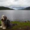 030_LochNess