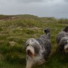 033_IleOfSkye_2