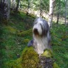 040_Invermoriston_2
