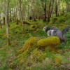041_Invermoriston_3