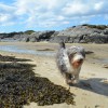 042_SeaCoast_001