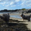 043_SeaCoast_002