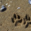 044_SeaCoast_003