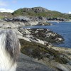 046_SeaCoast_005