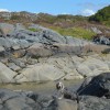 047_SeaCoast_006