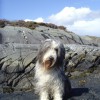 050_SeaCoast_009