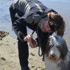 055_SeaCoast_014