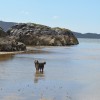 056_SeaCoast_015