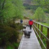 058_Moor