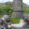 060_GlenFinnan_2