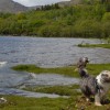 061_LochShiel_2