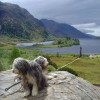 064_GlenFinnan_1