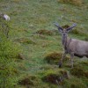 067_Posen