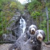 068_Waterfall