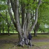 072_GraveYard_2