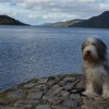 075_LochNess