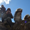 078_ArthurSeat_2