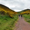 080_HolyRoodPark