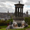 082_Edinburgh_4