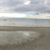 Faueninsel