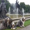 Herreninsel2