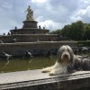 Herreninsel7