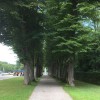 Herreninsel8