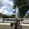 Herreninsel9