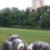 Isar