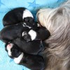 Mama_und_Boys