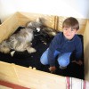 Besuch4