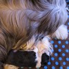 Kuscheln1