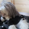 Kuscheln2