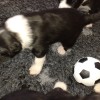 Spielen1