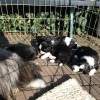 Erste_Sonne-1