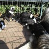 Erste_Sonne-2