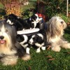Familientreffen_1