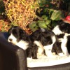 Familientreffen_2