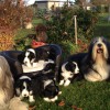 Familientreffen_3