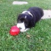 Garten_2