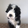Boy2_Cillian