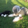 Spielen1