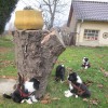 Zug_Garten