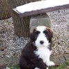 Cillian_1