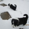 Schnee_2