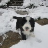 Schnee_4