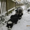 Schnee_5