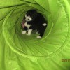 Spielen_1