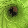 Spielen_2