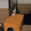 Spielen_4